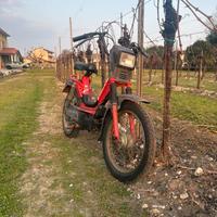 Califfone Sc 50 CON LIBRETTO PICCOLO