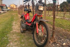 Califfone Sc 50 CON LIBRETTO PICCOLO