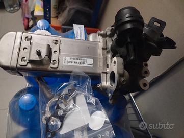 Valvola EGR motore Gruppo PSA-Ford