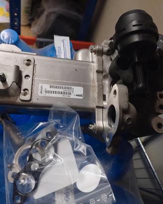 Valvola EGR motore Gruppo PSA-Ford