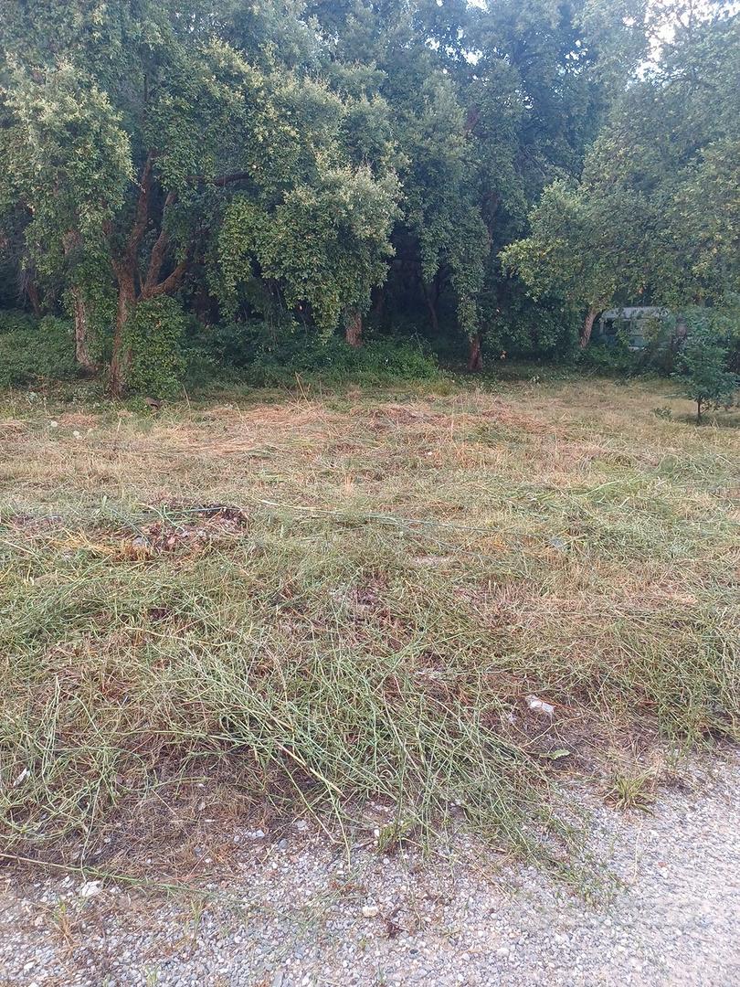 terreno a vibonati - Vista 4