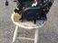 Immagine 5