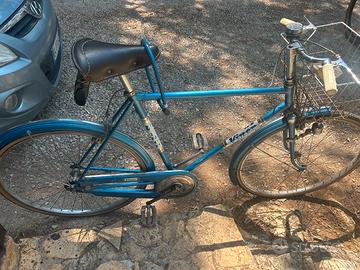 Bicicletta da psg VINER