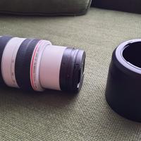 Obiettivo Canon EF 70-300mm f/4-5.6L IS USM