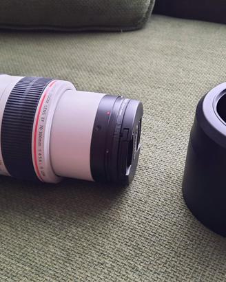 Obiettivo Canon EF 70-300mm f/4-5.6L IS USM