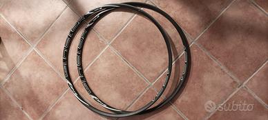 cerchi MTB 29 