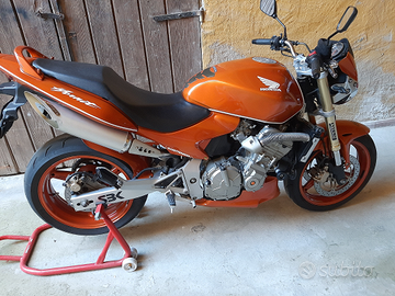 Honda hornet