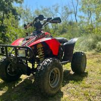 Quad Polaris Trial Blazer 250 | 2 TEMPI