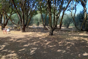 Terreno agricolo