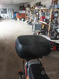 Vendita bauletto Honda cbr 19993