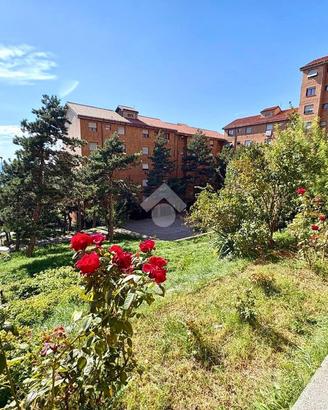 3 LOCALI A TRIESTE