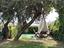 Immagine 4