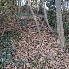 Progetto condivisione bosco per fattoria animali