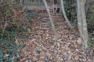 Progetto condivisione bosco per fattoria animali