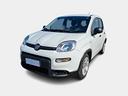 fiat-panda-1-0-hybrid-my24