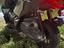 Immagine 4