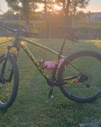 Mountain bike Olimpia CSLX 29 (peso 9 kg)