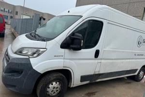 Furgone fiat Ducati maxi dall 2017 euro 06