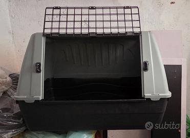 Kennel per cane