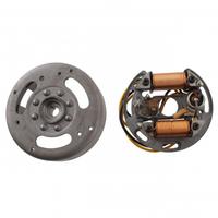 Volano con statore Ducati 310340