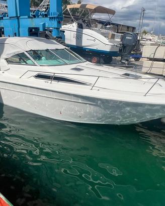 Barca Diesel Sea Ray