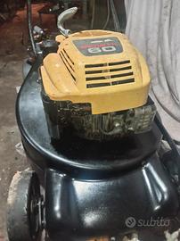 GRANDE RASAERBA TRAZIONATA 