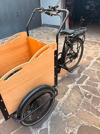 Cargo bike Panda bike