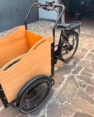 Cargo bike Panda bike