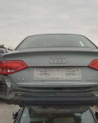 Audi A4 Berlina 2.0 Tdi 170 Cv Anno 2009