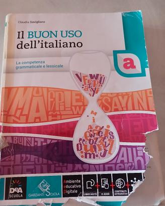 Il buon uso dell'italiano