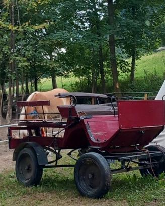 Carrozza