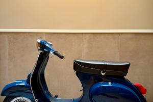 Vespa primavera et3