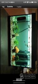 acquario completo senza pesci