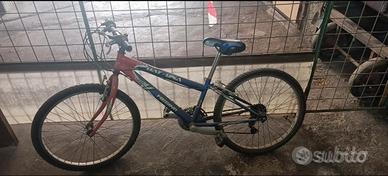 Bicicletta 26 pollici