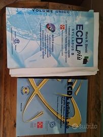 Libro ecdl syllabus