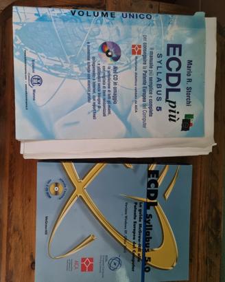 Libro ecdl syllabus