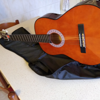 Chitarra Eko vs 10 con custodia