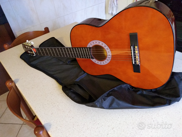 Chitarra Eko vs 10 con custodia