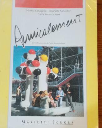 Trevisini Editore France Culture manuale viaggio