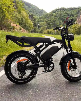 Bicicletta elettrica