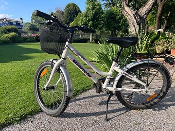Bicicl
