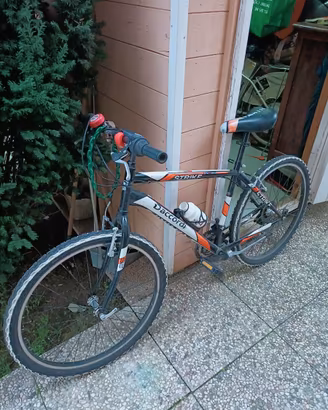 mountain bike + bicicletta elettrica