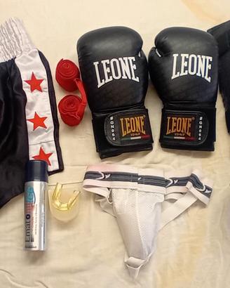 Completo kickboxing