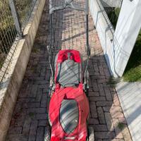 Taglia erba elettrico