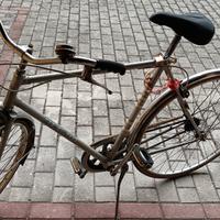 bicicletta Regina da uomo 