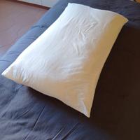 6 guanciali  con federa in cotone 