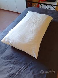 6 guanciali  con federa in cotone 