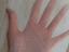 Immagine 6