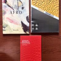 Cataloghi di Amadio Brunello/Berlingeri Afro