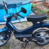 piaggio grillo